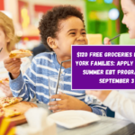 $120 Free Groceries for New York Families: Apply Now for Summer EBT Program by September 3