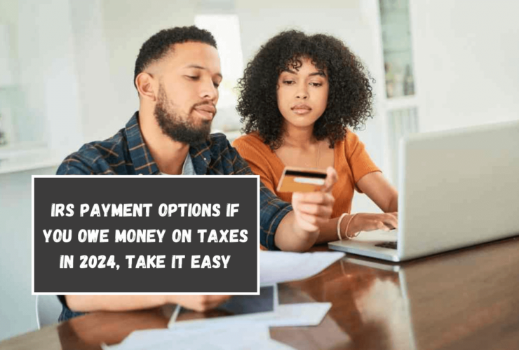 IRS payment options if you owe money on taxes in 2024, take it easy