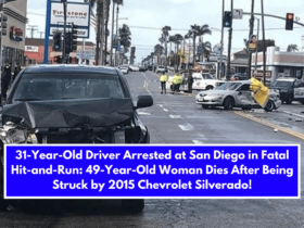 31-Year-Old Driver Arrested at San Diego in Fatal Hit-and-Run 49-Year-Old Woman Dies After Being Struck by 2015 Chevrolet Silverado!