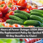 4 Hours of Power Outage USDA SNAP Benefits Replacement Policy for Spoiled Food, 10-Day Deadline to Claim!