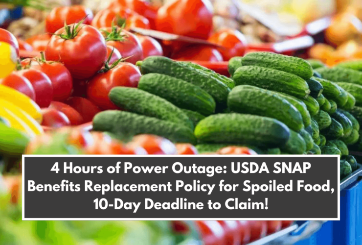 4 Hours of Power Outage USDA SNAP Benefits Replacement Policy for Spoiled Food, 10-Day Deadline to Claim!