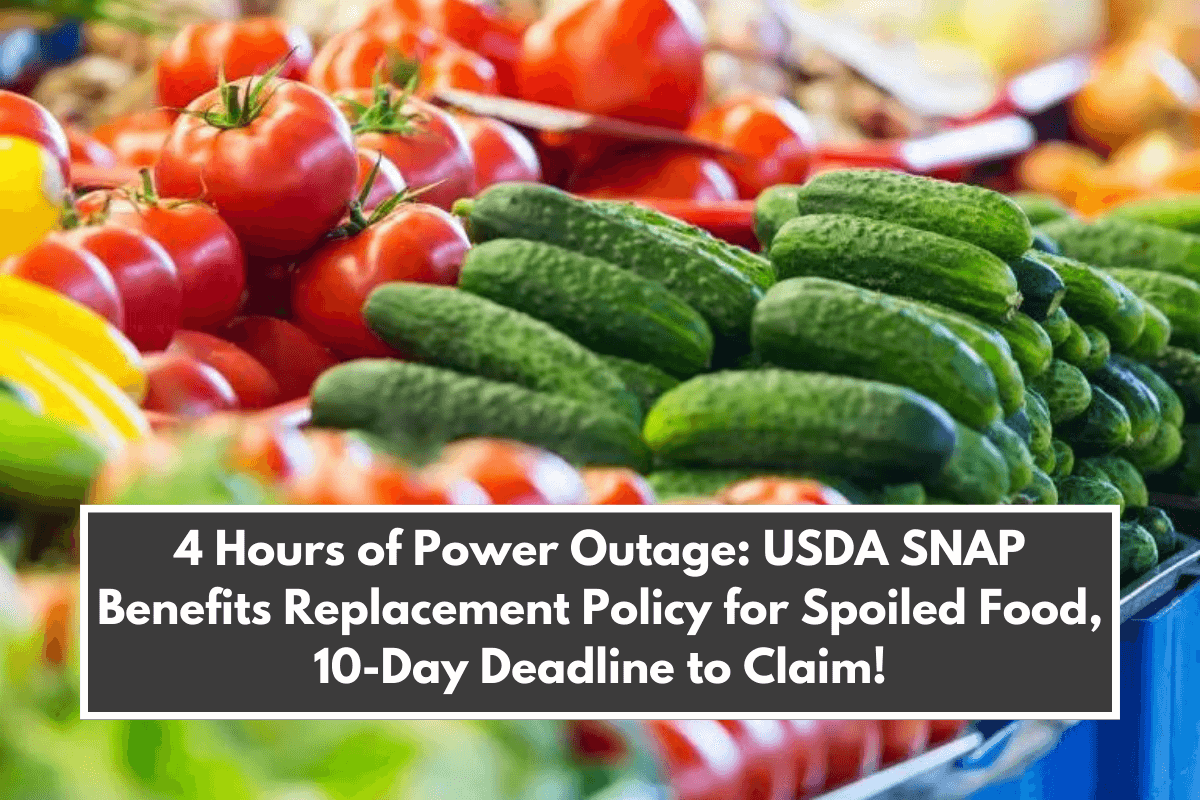 4 Hours of Power Outage USDA SNAP Benefits Replacement Policy for Spoiled Food, 10-Day Deadline to Claim!