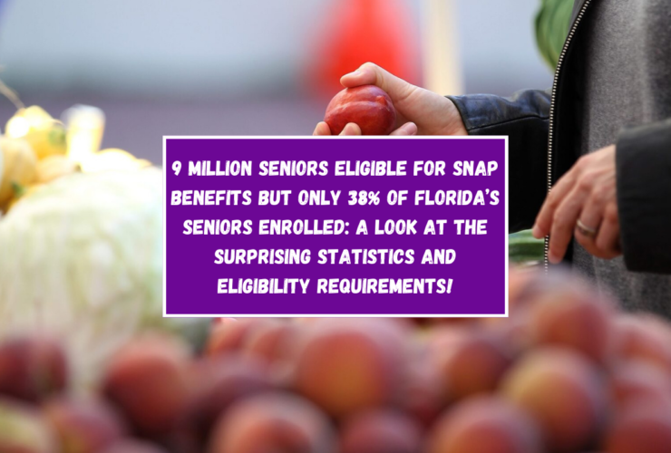 https://rockinghamcountynews.com/2024/08/9-million-seniors-eligible-for-snap-benefits-but-only-38-of-floridas-seniors-enrolled-a-look-at-the-surprising-statistics-and-eligibility-requirements/