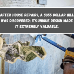 After house repairs, a $355 dollar bill was discovered; its unique design made it extremely valuable