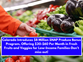 Colorado Introduces $8 Million SNAP Produce Bonus Program, Offering $20-$60 Per Month in Fresh Fruits and Veggies for Low-Income Families-Don’t miss out!