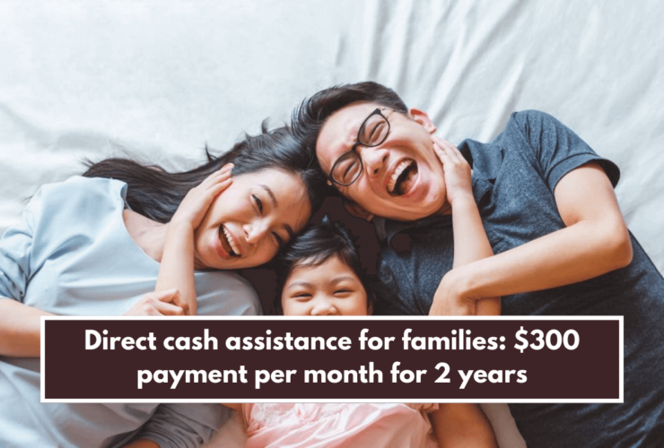 Direct cash assistance for families: $300 payment per month for 2 years