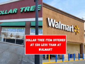 Dollar Tree item offered at $20 less than at Walmart