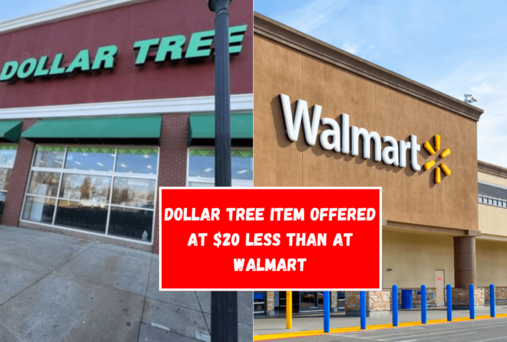 Dollar Tree item offered at $20 less than at Walmart