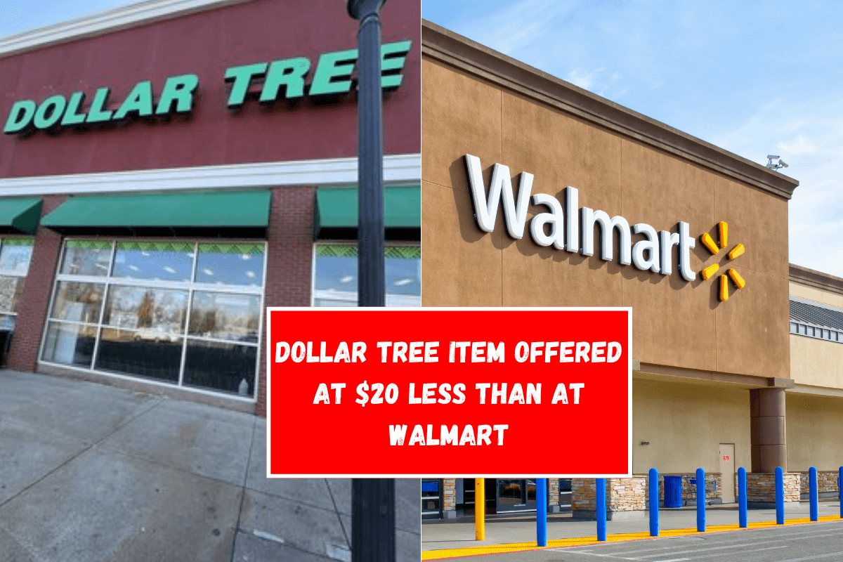 Dollar Tree item offered at $20 less than at Walmart