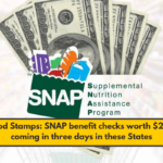 Food Stamps: SNAP benefit checks worth $202 coming in three days in these States