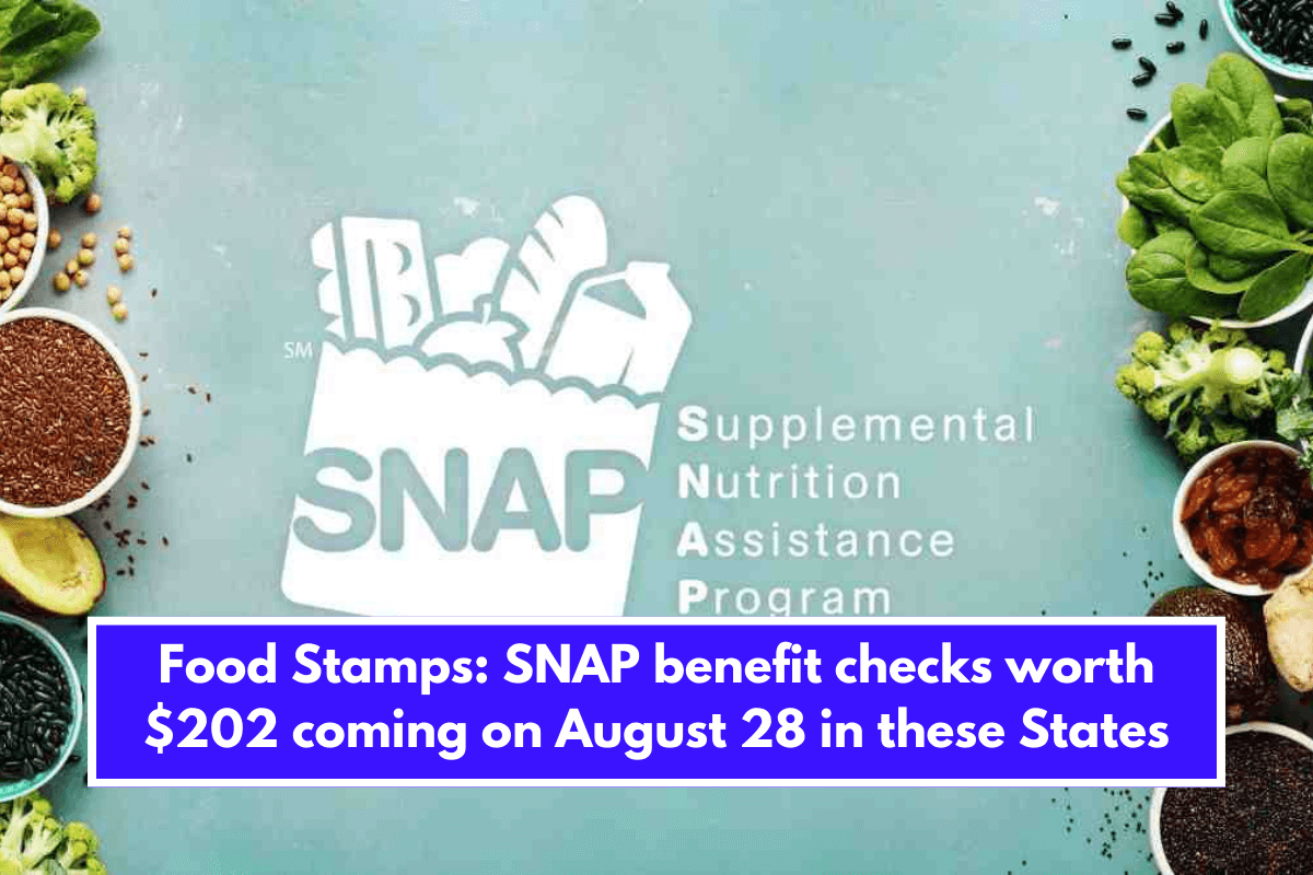 Food Stamps: SNAP benefit checks worth $202 coming on August 28 in these States