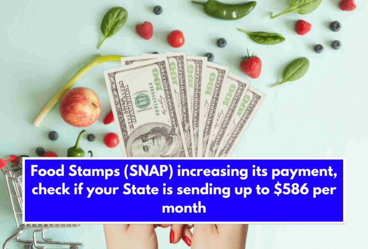 Food Stamps (SNAP) increasing its payment, check if your State is sending up to $586 per month