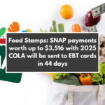 Food Stamps: SNAP payments worth up to $3,516 with 2025 COLA will be sent to EBT cards in 44 days