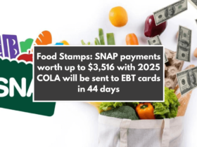 Food Stamps: SNAP payments worth up to $3,516 with 2025 COLA will be sent to EBT cards in 44 days