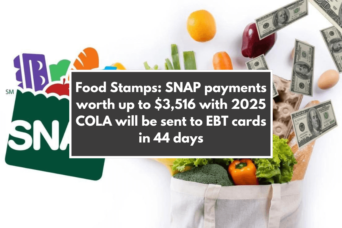 Food Stamps: SNAP payments worth up to $3,516 with 2025 COLA will be sent to EBT cards in 44 days