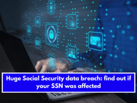 Huge Social Security data breach: find out if your SSN was affected