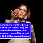 Kamala Harris wants to bring back child tax credits, help for first-time homebuyers, and corporate accountability as part of her $3.6 billion economic plan.