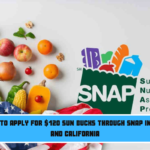 Last days to apply for $120 SUN Bucks through SNAP in New York and California