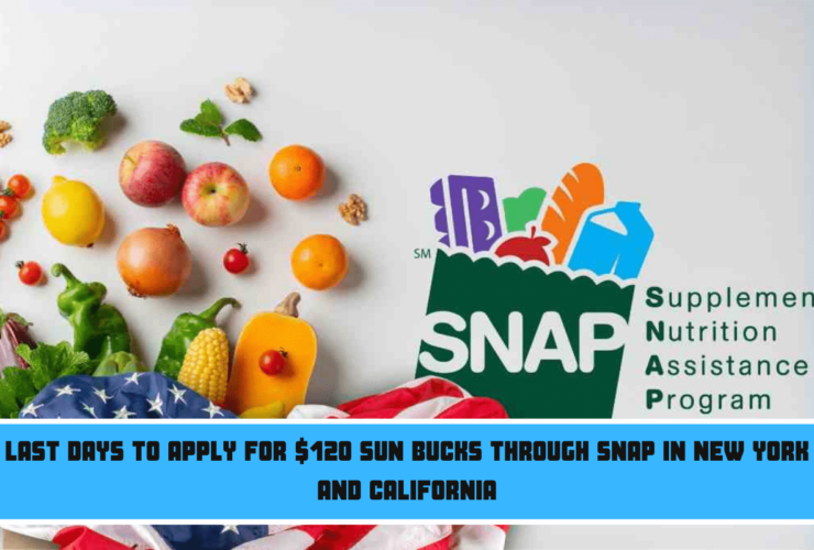 Last days to apply for $120 SUN Bucks through SNAP in New York and California