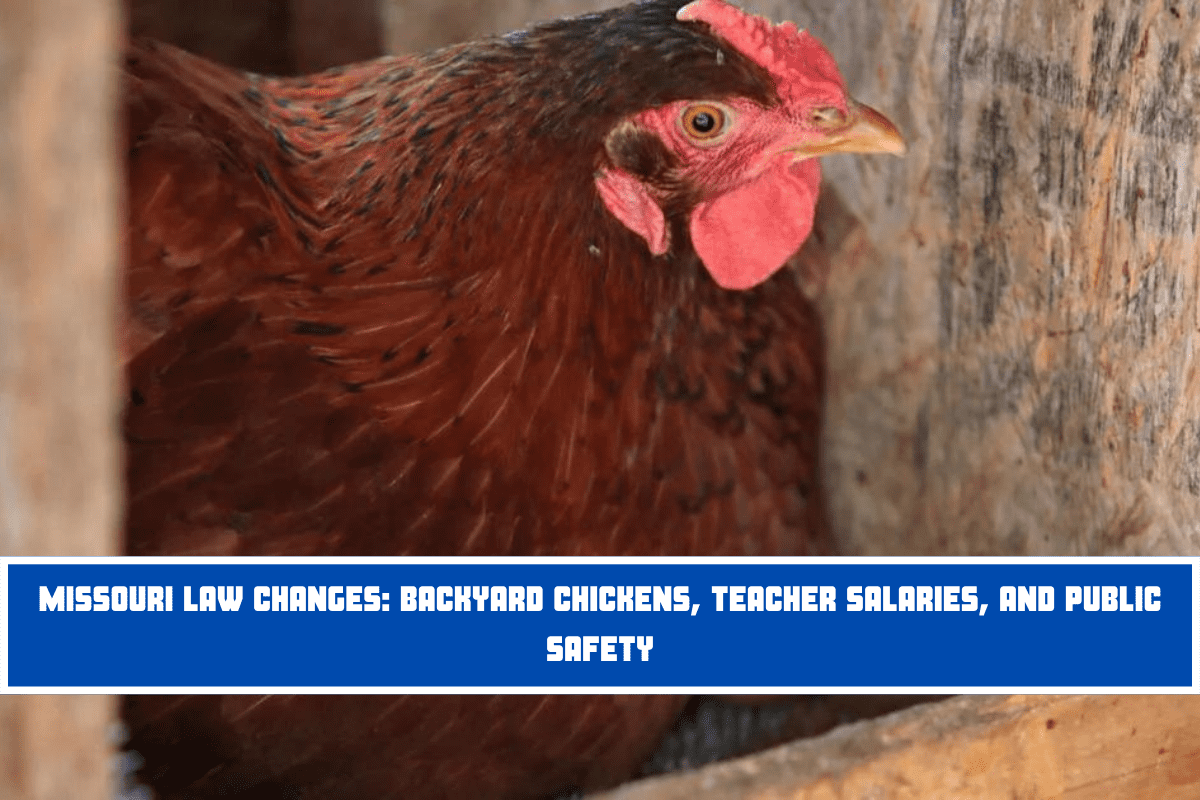 Missouri Law Changes Backyard Chickens, Teacher Salaries, and Public Safety