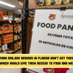 More than 850,000 seniors in Florida don't get their SNAP benefits which would give them access to food and medical care