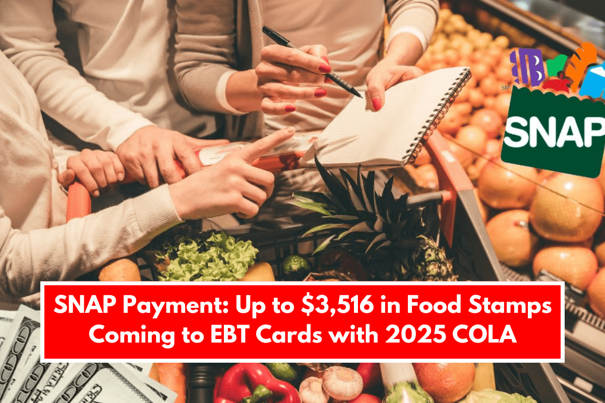 SNAP Payment: Up to $3,516 in Food Stamps Coming to EBT Cards with 2025 COLA