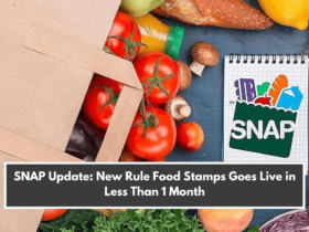 SNAP Update: New Rule Food Stamps Goes Live in Less Than 1 Month