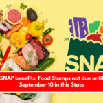 SNAP benefits: Food Stamps not due until September 10 in this State