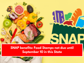 SNAP benefits: Food Stamps not due until September 10 in this State