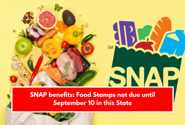 SNAP benefits: Food Stamps not due until September 10 in this State