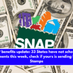 SNAP benefits update: 33 States have not scheduled payments this week, check if yours is sending Food Stamps