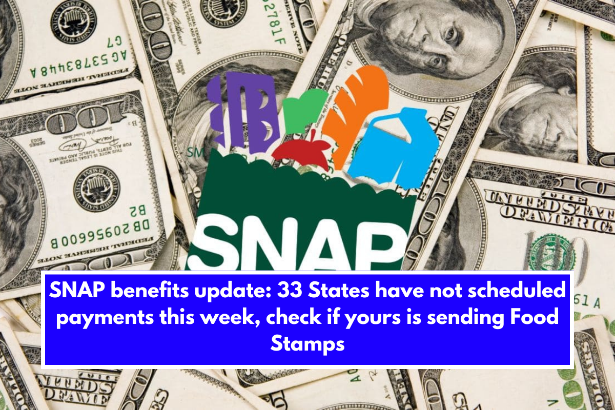 SNAP benefits update: 33 States have not scheduled payments this week, check if yours is sending Food Stamps