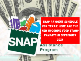 SNAP payment schedule for Texas: Here are the new upcoming Food Stamp paydays in September 2024