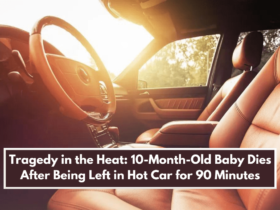 Tragedy in the Heat: 10-Month-Old Baby Dies After Being Left in Hot Car for 90 Minutes