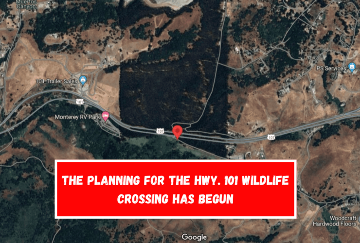 The planning for the Hwy. 101 wildlife crossing has begun