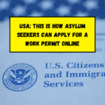 USA: This is how asylum seekers can apply for a work permit online