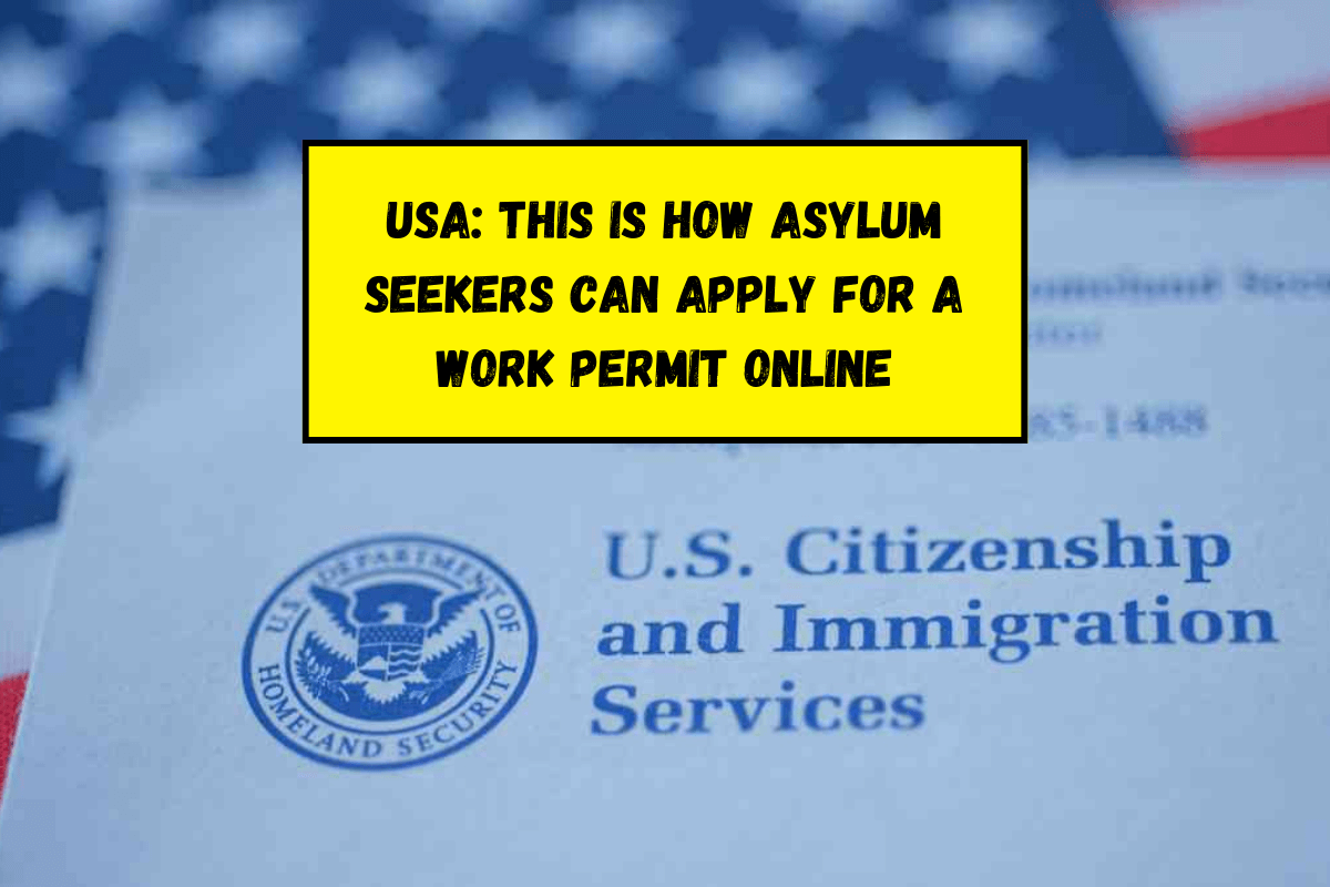 USA: This is how asylum seekers can apply for a work permit online