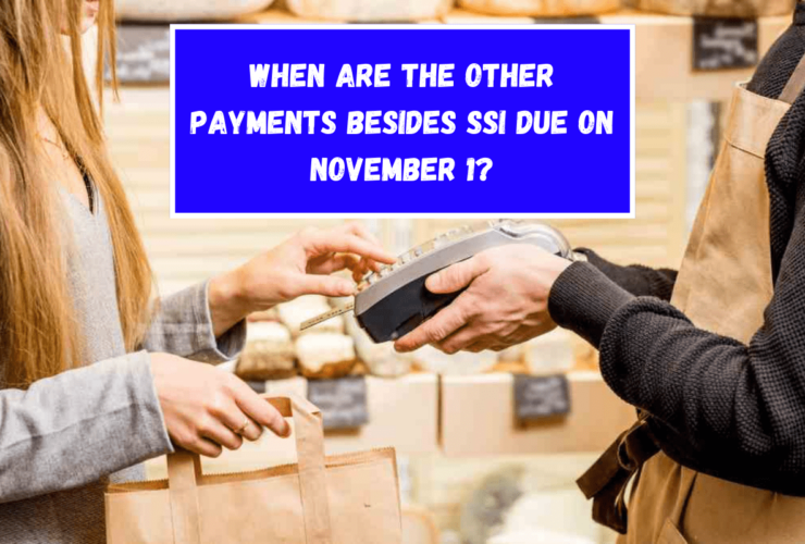 When are the other payments besides SSI due on November 1