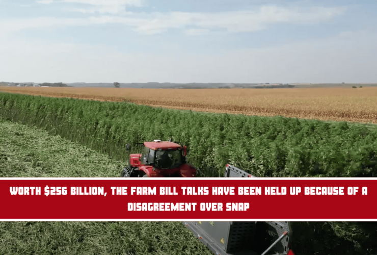 Worth $256 billion, the Farm Bill talks have been held up because of a disagreement over SNAP