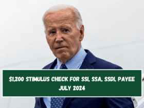 $1,200 Stimulus Check for SSI, SSA, SSDI, Payee July 2024