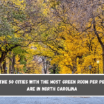 2 of the 50 cities with the most green room per person are in North Carolina