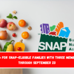 $766 for SNAP-eligible families with three members through September 23