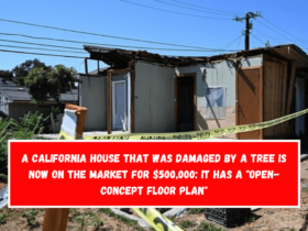 A California house that was damaged by a tree is now on the market for $500,000 It has a open-concept floor plan