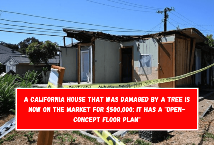 A California house that was damaged by a tree is now on the market for $500,000 It has a open-concept floor plan