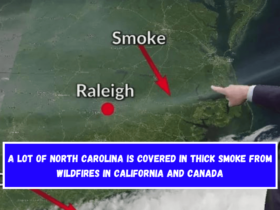 A lot of North Carolina is covered in thick smoke from wildfires in California and Canada