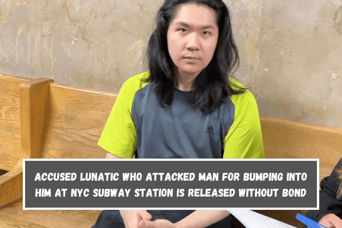 Accused lunatic who attacked man for bumping into him at NYC subway station is released without bond