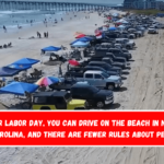 After Labor Day, you can drive on the beach in North Carolina, and there are fewer rules about pets