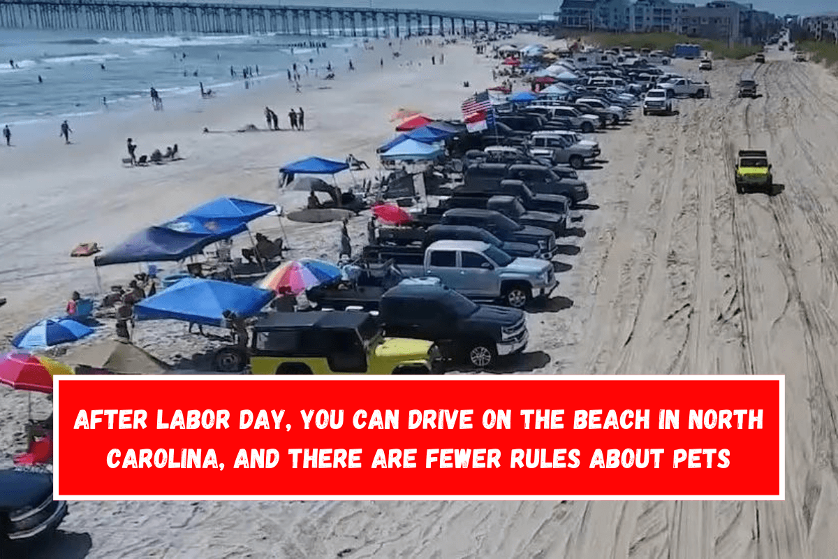 After Labor Day, you can drive on the beach in North Carolina, and there are fewer rules about pets