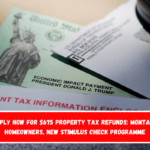 Apply Now for $675 Property Tax Refunds Montana Homeowners, New Stimulus Check Programme