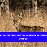 Changes to the deer shooting season in Western NC for 2024–25